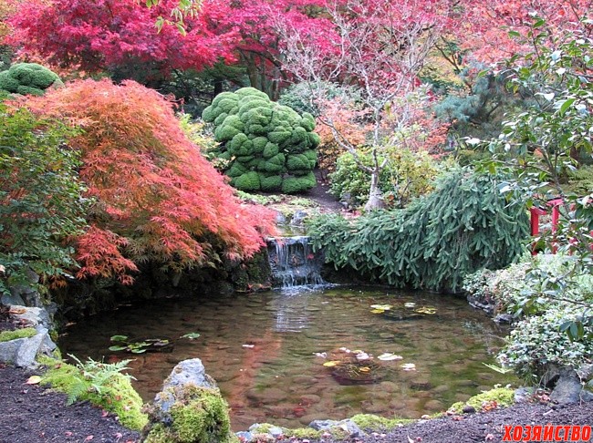 Сад в японском стиле1.jpg