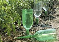 Применение пластиковых бутылок в огороде 