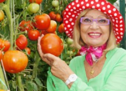 Рецепты засолки помидоров и огурцов от Октябрины Ганичкиной