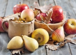 Правила хранения яблок и груш