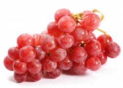 Схемы удобрения плодоносящего винограда