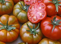 Почему семена помидоров покупают в январе