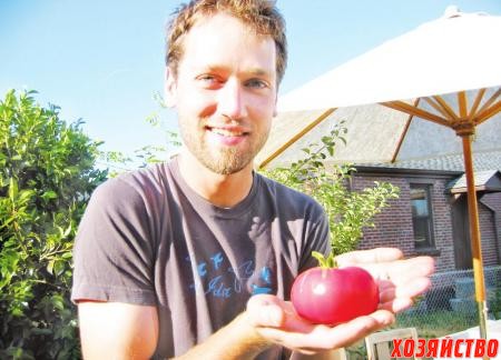 Некоторые сорта помидоров способны  защитить себя от вредителей сами
