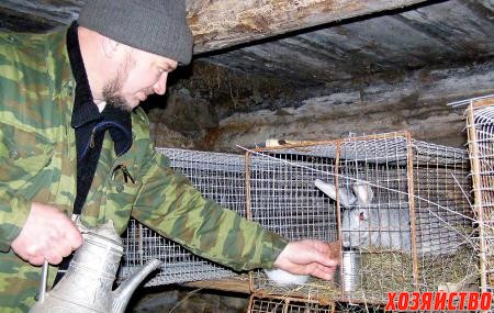 Кролики – любимые питомцы фермера Биктимирова