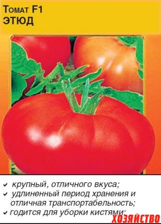 Увертюра помидоры описание сорта фото