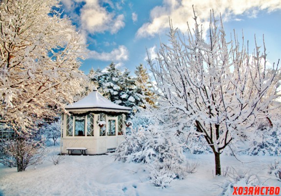 garden-winter-2-574x400.jpg