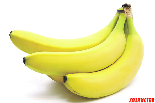 бананы.jpg