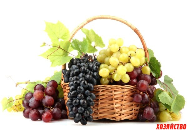 7 виноградных хитростей, которые помогут.jpg