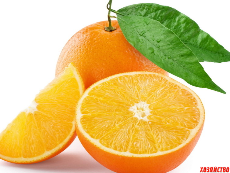 Апельсины.jpg