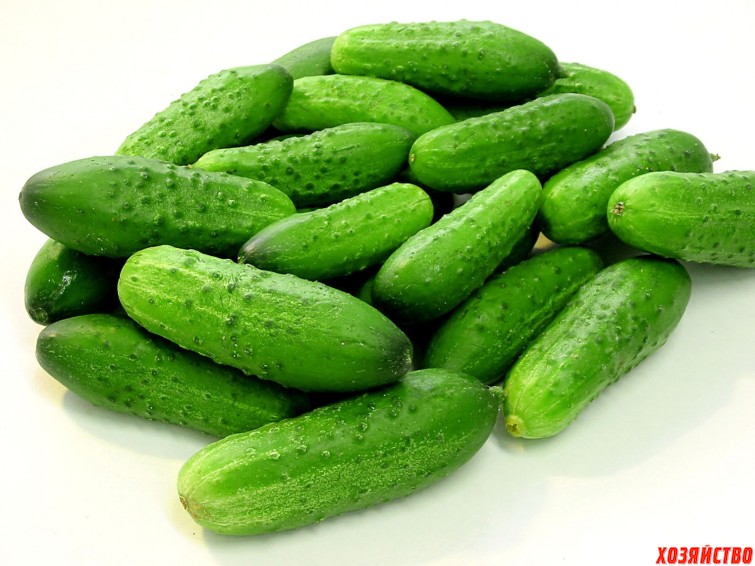 Cucumbers.jpg