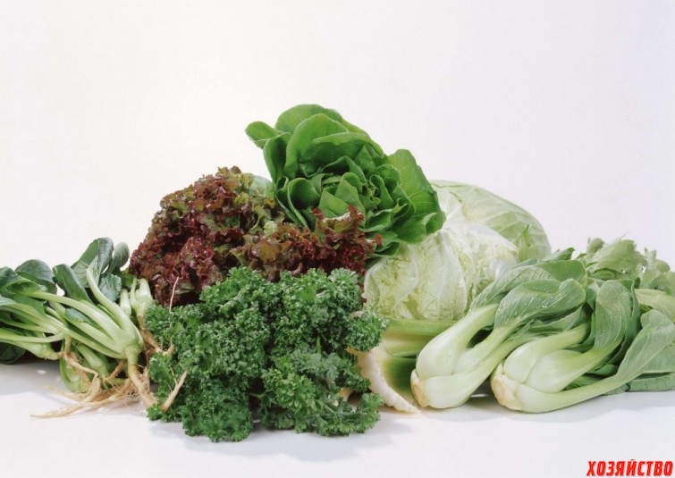 Зеленые овощи.jpg