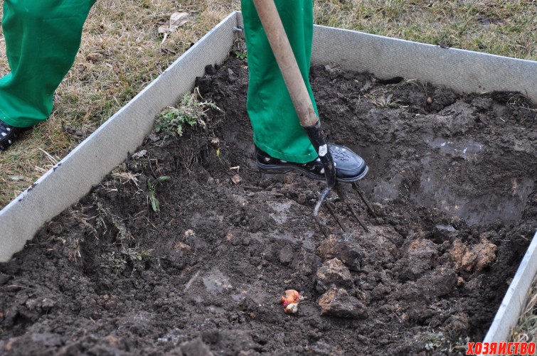 2. Нижний слой почвы (неплодородный) на второй штык лопаты высыпаем в отдельную кучу.jpg
