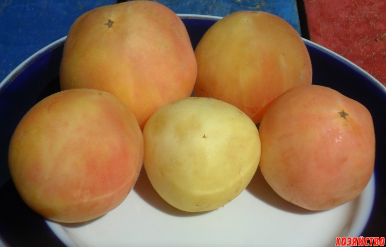 Garden Peach.JPG