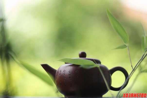 Зеленый чай.jpg