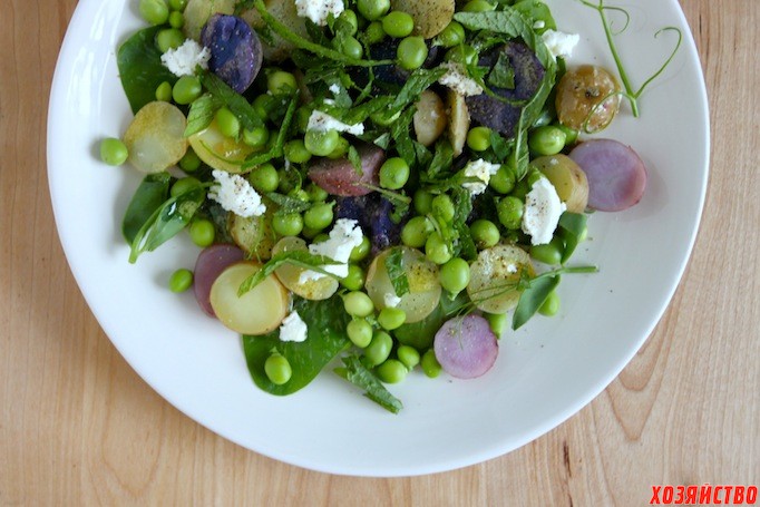 shell-pea-and-new-potato-salad.jpg