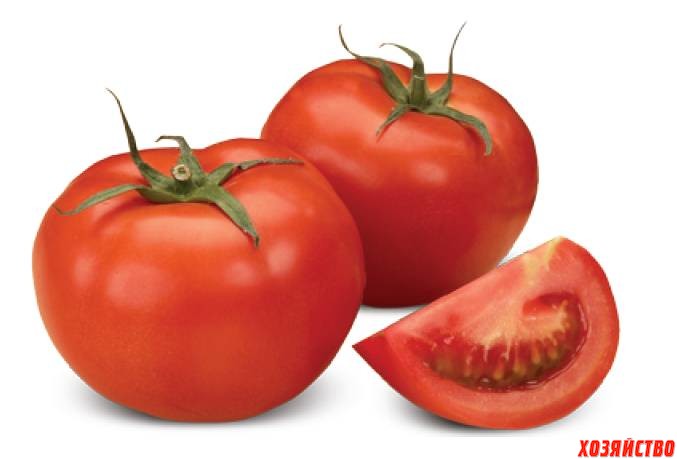 semena-pomidor 1.jpg