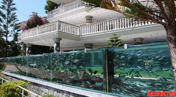 Забор-аквариум.jpg
