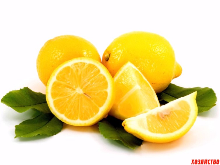 лимоны.jpg