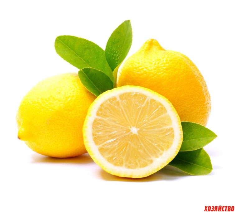 Limon.jpg