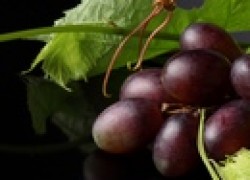 Сколько винограда сажать