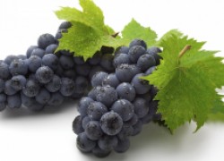 7 лучших черных сортов винограда
