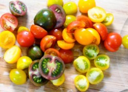Разноцветные сорта помидоров, которые стоит посадить в 2016 году