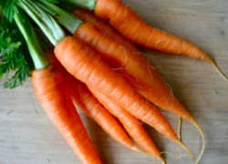 Народные средства борьбы с морковной мухой