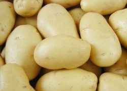 Вкусные сорта картофеля