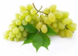 Разновидности и сорта винограда