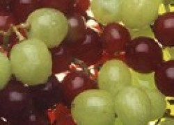 Почему трескается виноград