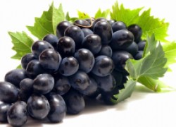 Сорта винограда с самыми крупными гроздями