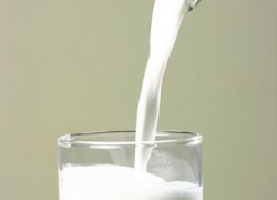 Молоко: органическое удобрение