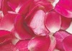 Маска для лица из лепестков роз