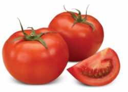 Сорта томатов, устойчивых к фитофторе