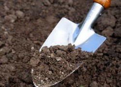 Как не пересолить почву