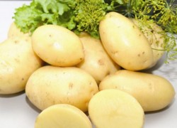 Какую картошку будем есть весной