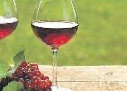 Рецепты домашних вин из винограда