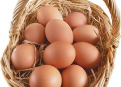 Куриные яйца: «За» и «Против»