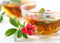 Травяные настои и отвары – подготовка лекарственных чаев