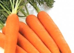 Покупаем морковку на семена 