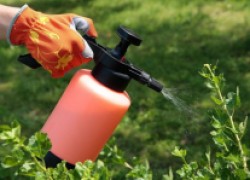 Как правильно проводить жидкие подкормки сада