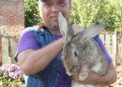 Как кролики стали семейным делом Токаревых