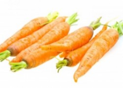 Вянет морковь – в чём причина