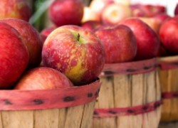 Почему осыпаются яблоки