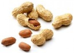 Секреты выращивания арахиса