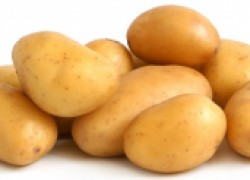 Формирование клубней картофеля