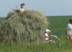 Гляжу, поднимается  медленно в гору лошадка, везущая хворосу воз..