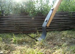 Копать или не копать, или как плоскорез Фокина увеличивает урожай и облегчает труд дачника