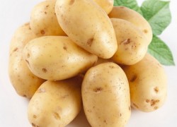 Отбор картошки на семена
