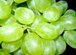 Как бороться с оидиумом на винограде